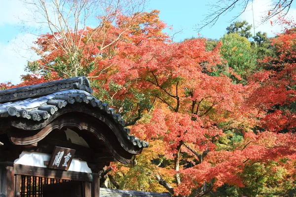 Autunno a Kyoto — Foto Stock