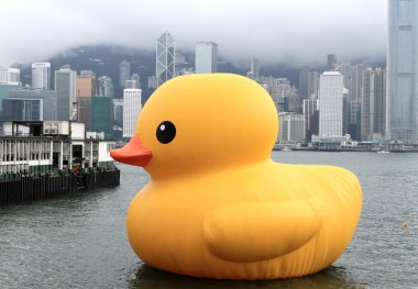 lastik ördek hong kong victoria Harbour