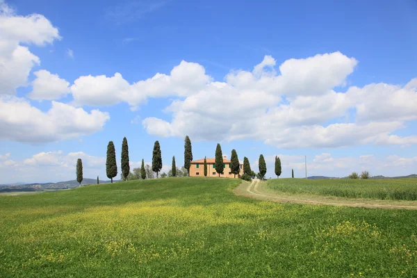 Spring landscape in Tuscany, Italy — Stock Photo, Image