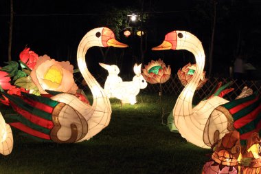 ay Festivali için kuğu fenerler