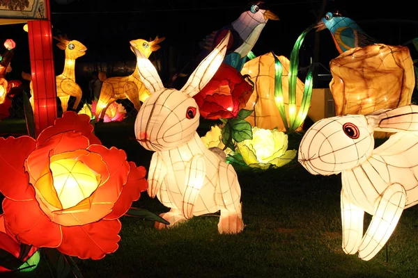 Rabbit lanterns, Hong Kong — Stock Photo, Image