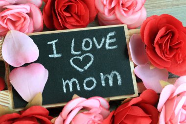 Annesi sevgi kavramı