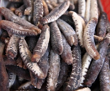 kurutulmuş deniz hıyarı