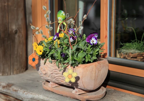 İlkbaharda çiçek dekorasyon — Stok fotoğraf