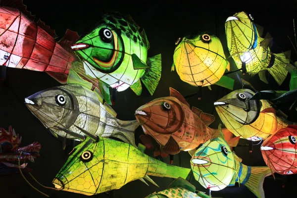 Chinese fish lanterns — Stock Photo, Image