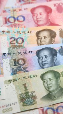 veya Çin yuan Renminbi