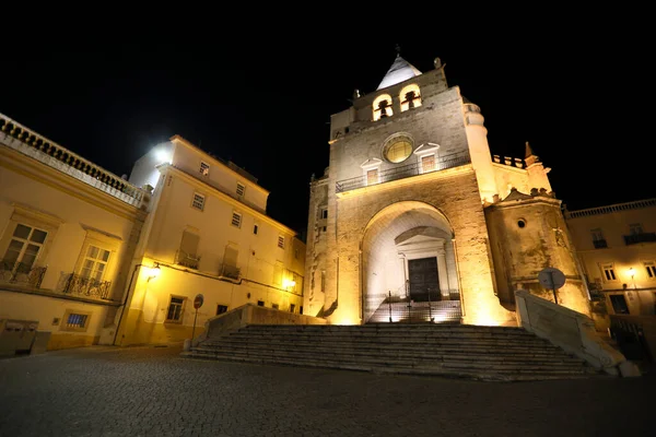 Освещенный Исторический Собор Эльвас Ночью Португалия — стоковое фото