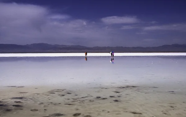 Lago salato — Foto Stock