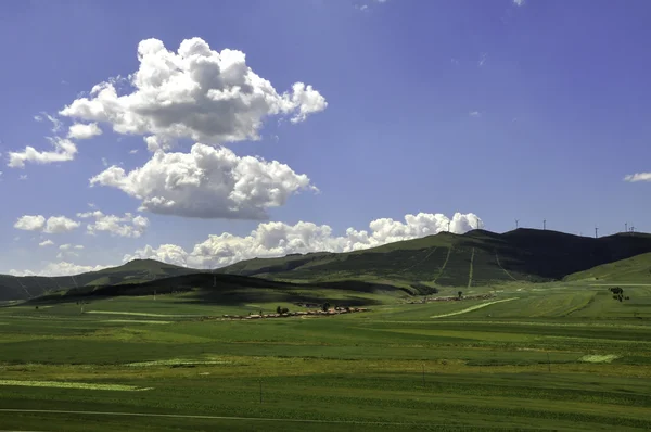 Bashang Prairie — Stock Photo, Image