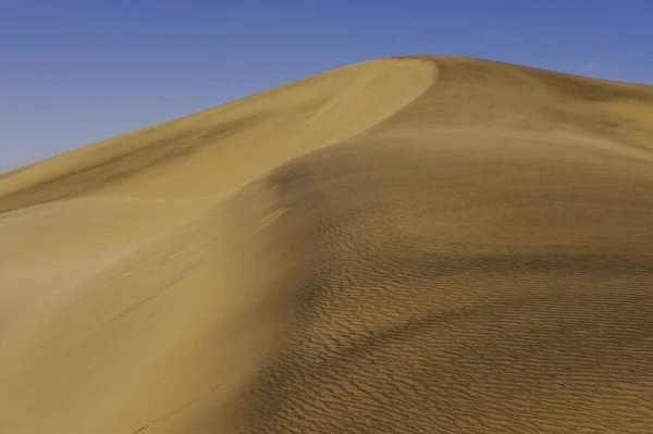 Dune 7 — Zdjęcie stockowe