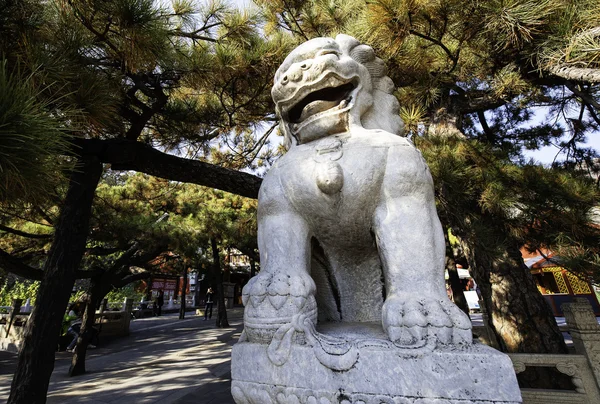 Stone lion — Stock Photo, Image