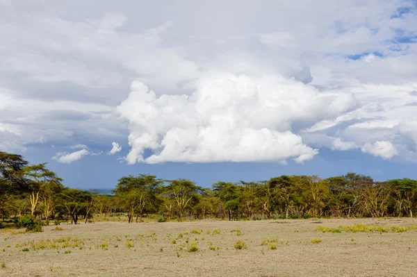 Parque Nacional del Lago del Cráter —  Fotos de Stock