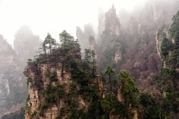 Niebla Zhangjiajie —  Fotos de Stock