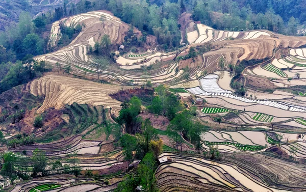 Yuan Yang Rice Terraces — Stock Photo, Image