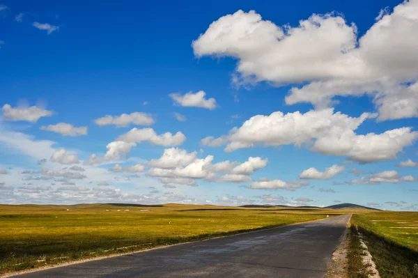 Yol — Stok fotoğraf