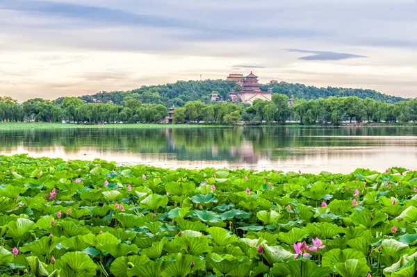 Summer palace — Stock Photo, Image