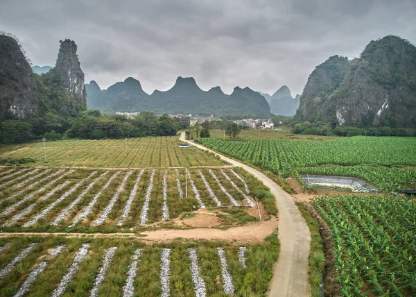 Den Pastorala Landskap Kamel Topp Natursköna Plats Yingde County Qingyuan — Stockfoto