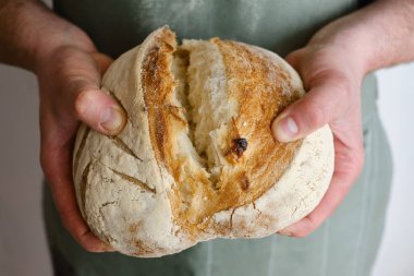 Crispy fresh bread in the hands of a man. Rustic organic wheat bread. Gluten free. Home baking bread closeup. Delicious natural foods, healthy food baking. Small business and slow food concept