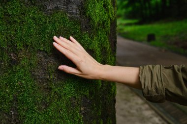 Girl hand touches a tree with moss in the wild forest. Forest ecology. Wild nature, wild life. Earth Day. Traveler girl in a beautiful green forest. Conservation, ecology, environment concept