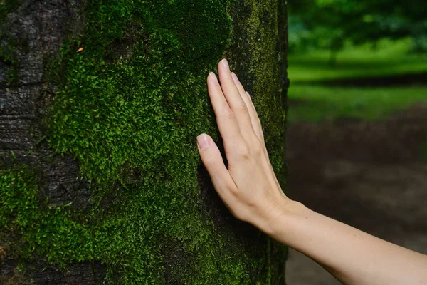 Girl hand touches a tree with moss in the wild forest. Forest ecology. Wild nature, wild life. Earth Day. Traveler girl in a beautiful green forest. Conservation, ecology, environment concept