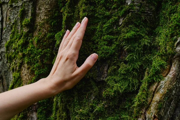 Girl hand touches a tree with moss in the wild forest. Forest ecology. Wild nature, wild life. Earth Day. Traveler girl in a beautiful green forest. Conservation, ecology, environment concept