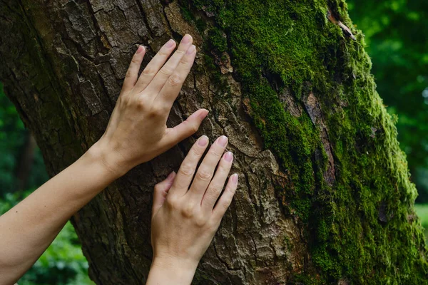 Girl hand touches a tree with moss in the wild forest. Forest ecology. Wild nature, wild life. Earth Day. Traveler girl in a beautiful green forest. Conservation, ecology, environment concept