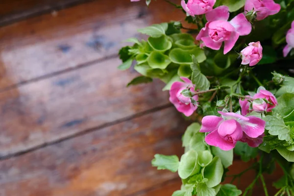 Bouquet of pink-green flowers on a wooden background. Roses top view. Place for text. Holiday postcard. Copy space