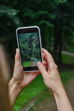 Kız elinde bir cep telefonu tutuyor ve sosyal ağlarda fotoğrafları paylaşmak için parkta doğanın fotoğraflarını çekiyor. Telefon ekranına odaklan. Akıllı telefonunla anılar yarat. Cep telefonunu kapat.