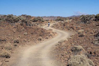 Caldera las Canadas del Teide (124- Kaldera na Teneryfie)