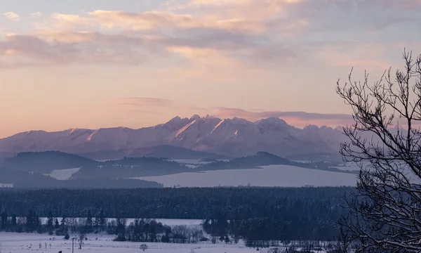 Karla kaplı ağaçlarla güzel bir kış manzarası...