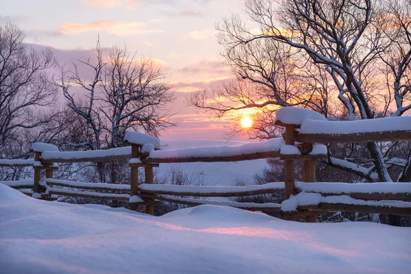 Karla kaplı ağaçlarla güzel bir kış manzarası...