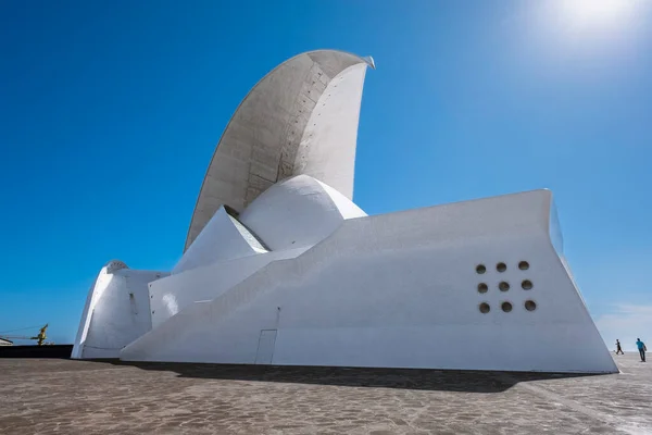 Autorio de tenerife adan Martin