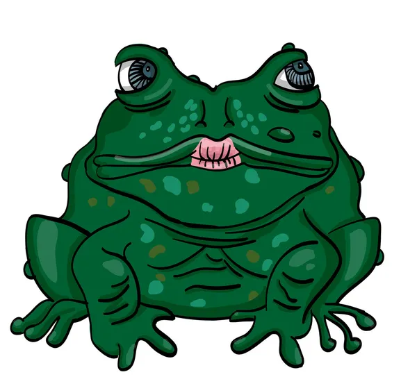 Frog — Stock Vector