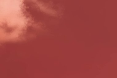 Modern fırça darbeleri. Poster, duvar sanatı, afiş, kart, kitap kapağı veya ambalaj için rahatlatıcı kompozisyonun yumuşak renkli çizimi. Pastel renklerle suluboya. 