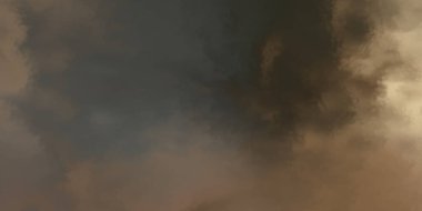 Modern fırça darbeleri. Poster, duvar sanatı, afiş, kart, kitap kapağı veya ambalaj için rahatlatıcı kompozisyonun yumuşak renkli çizimi. Pastel renklerle suluboya. 