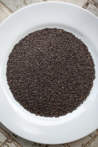 Bazalka suchá semena. — Stock fotografie