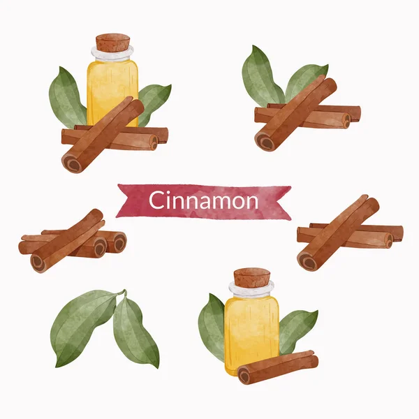 Set Cinnamon Sticks Leaves Oil Watercolour Style Vector Illustration — Stockvektor