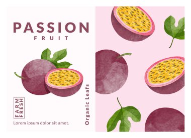 Passion Fruit ambalajlama Etiket tasarım şablonları, suluboya biçim vektör çizimi.