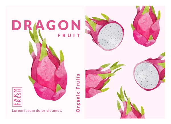 Pitaya Fruit Packaging Label Design Template Watercolor Style Vector Illustration — 图库矢量图片