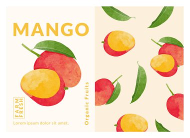 Mango packaging design templates, watercolour style vector illustration.