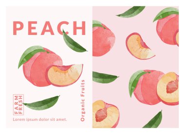 Peach packaging design templates, watercolour style vector illustration.