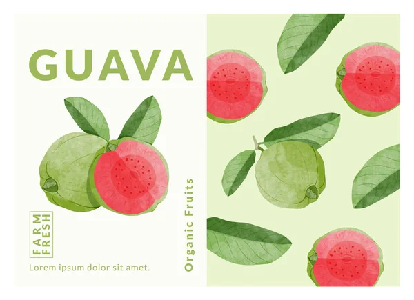 Guava Fruit Packaging Design Templates Watercolour Style Vector Illustration — Διανυσματικό Αρχείο