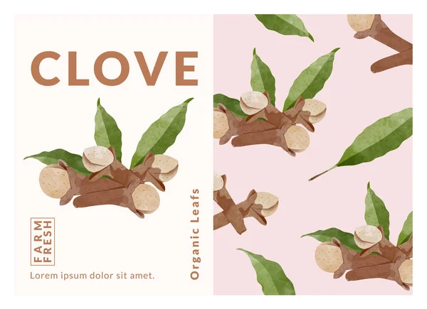 Clove Packaging Design Templates Watercolour Style Vector Illustration — ストックベクタ