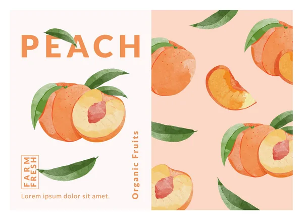 Peach Packaging Design Templates Watercolour Style Vector Illustration — Stockvektor