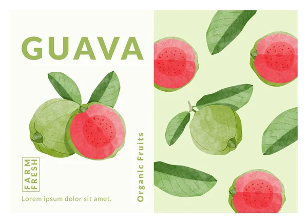 Guava Fruit Packaging Design Templates Watercolour Style Vector Illustration lizenzfreie Stockillustrationen
