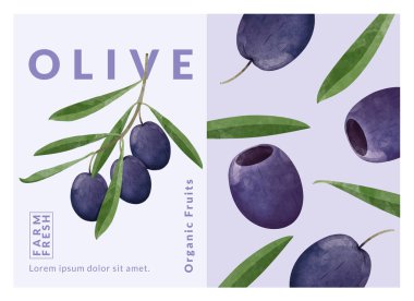 Olive packaging design templates, watercolour style vector illustration.