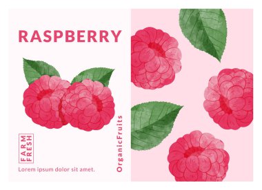 Raspberry packaging design templates, watercolour style vector illustration.