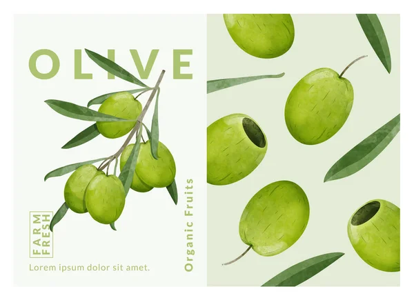 Olive Packaging Design Templates Watercolour Style Vector Illustration — Stockvektor