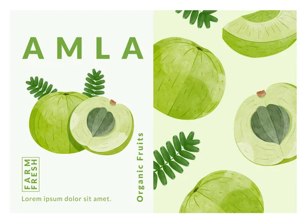 Indian Gooseberry Fruits Amla Packaging Design Templates Watercolour Style Vector — 图库矢量图片
