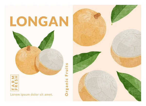 Longan Fruit Packaging Design Templates Watercolour Style Vector Illustration — Stockvektor